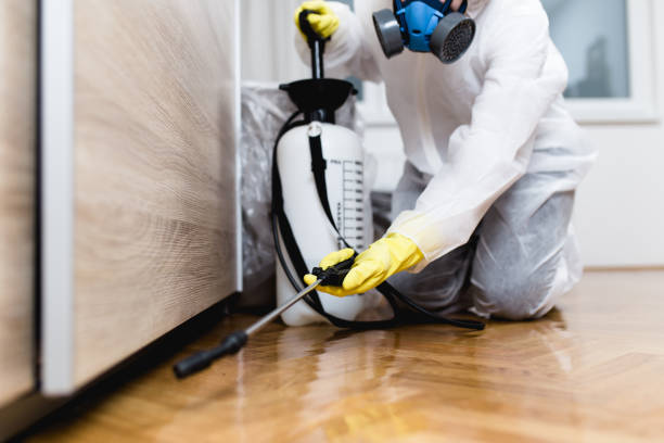 Professional Pest Control in La Paloma, TX