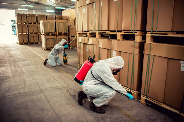 Best Emergency Pest Control  in La Paloma, TX