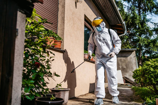 Best Wasp Removal Services  in La Paloma, TX