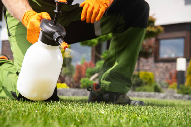 Best Pest Removal Services  in La Paloma, TX