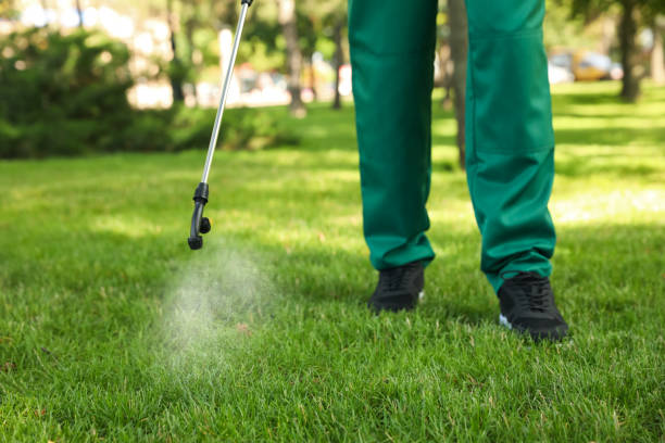 Best Pest Inspection Near Me  in La Paloma, TX