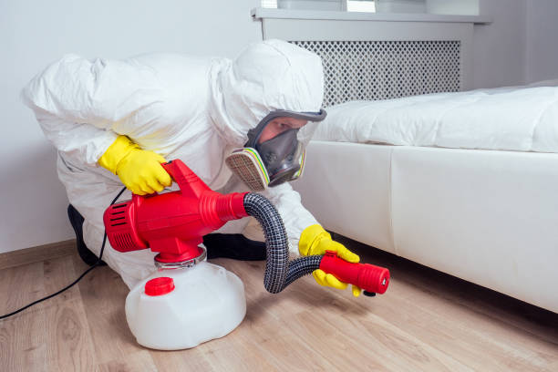 Best Commercial Pest Control Services  in La Paloma, TX