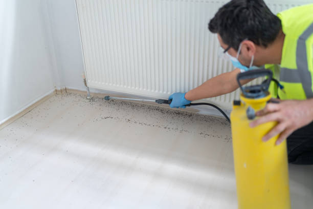 Best Exterminator Services  in La Paloma, TX
