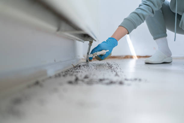 Best Affordable Pest Control Services  in La Paloma, TX